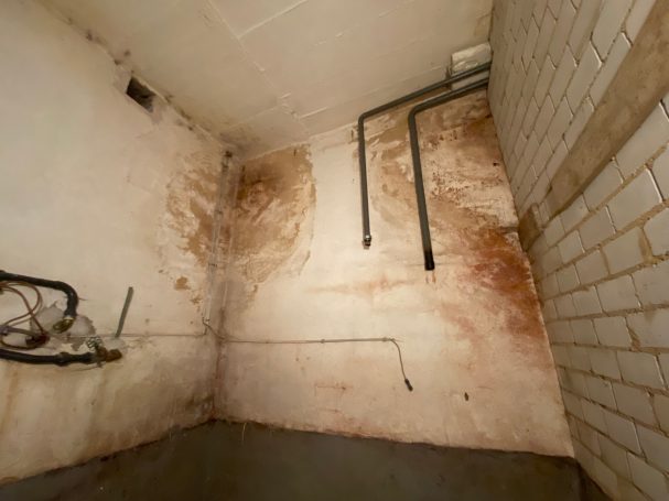 Wasserschaden Schimmelpilz abplätternder Putz Mosbach Kellersanierung feuchter Keller Beachtec Kellertrocknung
Salzausblühungen Schimmel 