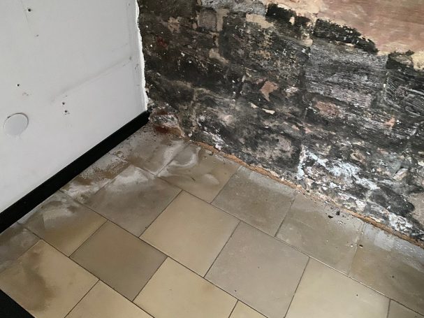Wasserschaden Schimmelpilz abplätternder Putz Mosbach Kellersanierung feuchter Keller Beachtec Kellertrocknung